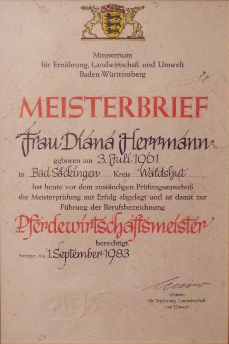 Meisterbrief